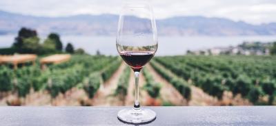 Wein – Lebensfreude, Genuss und Lifestyle