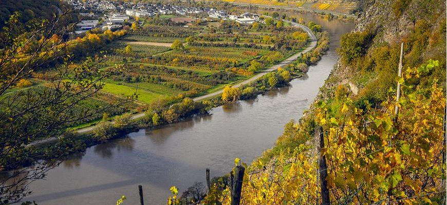 Faszinierende Fakten: Der Klimawandel und seine Folgen für den Weinanbau